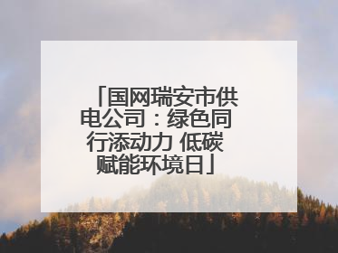 国网瑞安市供电公司：绿色同行添动力 低碳赋能环境日