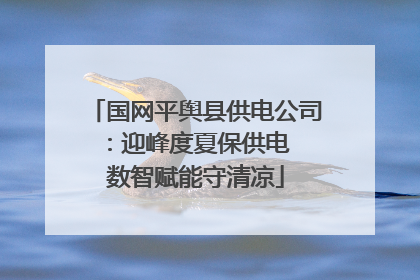 国网平舆县供电公司：迎峰度夏保供电  数智赋能守清凉