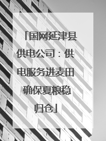 国网延津县供电公司：供电服务进麦田 确保夏粮稳归仓