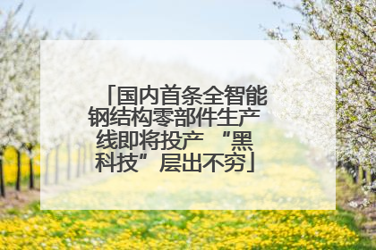 国内首条全智能钢结构零部件生产线即将投产 “黑科技”层出不穷