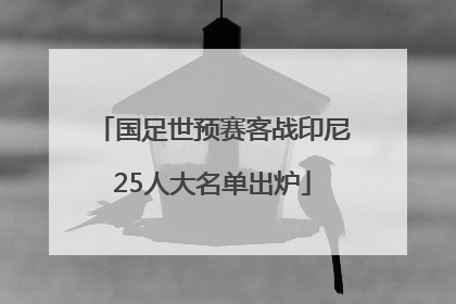 国足世预赛客战印尼25人大名单出炉