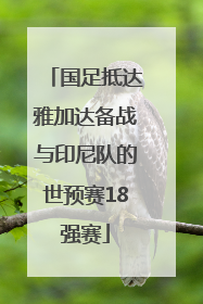 国足抵达雅加达备战与印尼队的世预赛18强赛