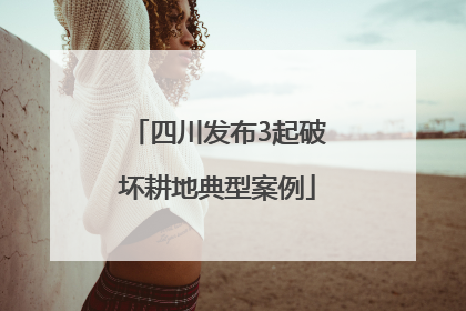 四川发布3起破坏耕地典型案例