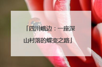 四川峨边：一座深山村落的蝶变之路