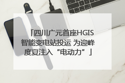 四川广元首座HGIS智能变电站投运 为迎峰度夏注入“电动力”