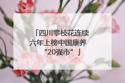 四川攀枝花连续六年上榜中国康养“20强市”