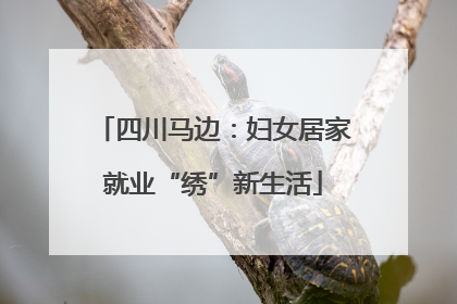 四川马边：妇女居家就业“绣”新生活
