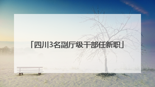四川3名副厅级干部任新职