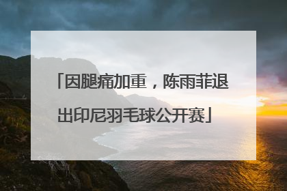 因腿痛加重，陈雨菲退出印尼羽毛球公开赛
