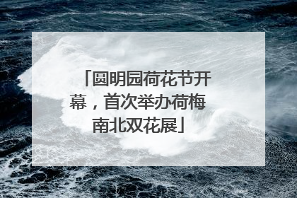 圆明园荷花节开幕，首次举办荷梅南北双花展
