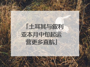 土耳其与叙利亚本月中旬起运营更多直航