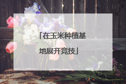 在玉米种植基地展开竞技
