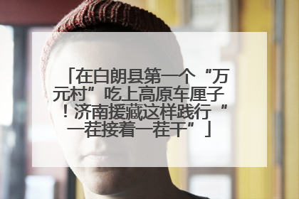 在白朗县第一个“万元村”吃上高原车厘子！济南援藏这样践行“一茬接着一茬干”