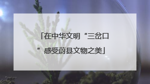 在中华文明“三岔口”感受蔚县文物之美
