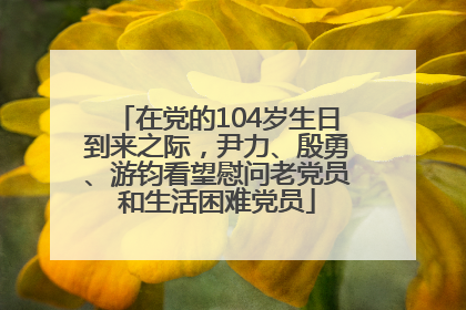 在党的104岁生日到来之际，尹力、殷勇、游钧看望慰问老党员和生活困难党员