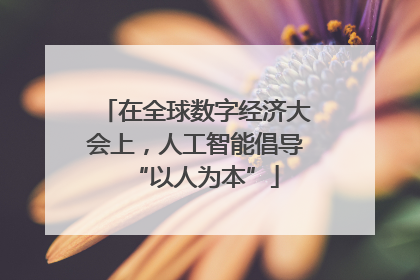 在全球数字经济大会上，人工智能倡导“以人为本”