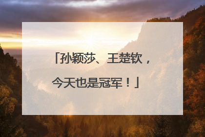 孙颖莎、王楚钦，今天也是冠军！