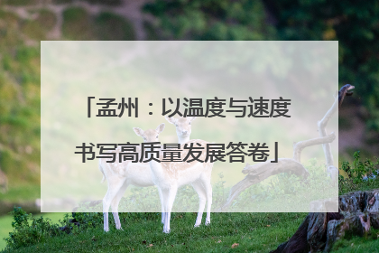 孟州：以温度与速度书写高质量发展答卷