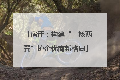 宿迁：构建“一核两翼”护企优商新格局