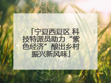 宁夏西夏区 科技特派员助力“紫色经济”酿出乡村振兴新风味