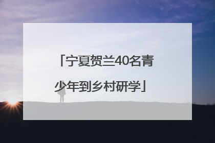 宁夏贺兰40名青少年到乡村研学