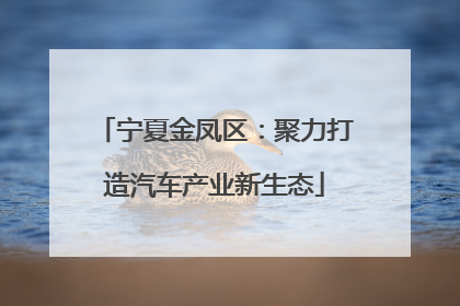 宁夏金凤区：聚力打造汽车产业新生态