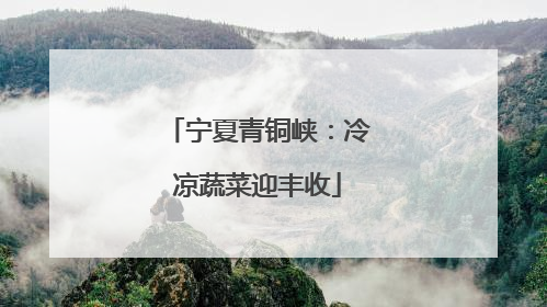 宁夏青铜峡：冷凉蔬菜迎丰收