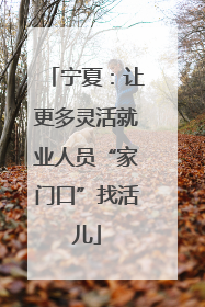 宁夏：让更多灵活就业人员“家门口”找活儿