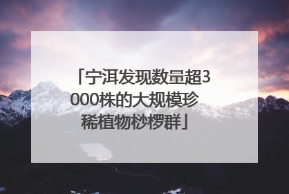宁洱发现数量超3000株的大规模珍稀植物桫椤群