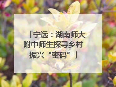 宁远：湖南师大附中师生探寻乡村振兴“密码”
