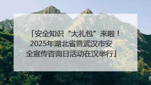 安全知识“大礼包”来啦！2025年湖北省暨武汉市安全宣传咨询日活动在汉举行