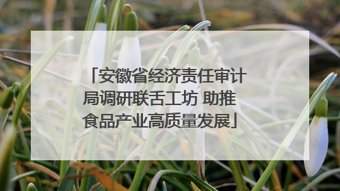安徽省经济责任审计局调研联舌工坊 助推食品产业高质量发展