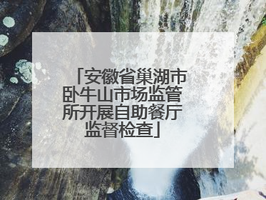 安徽省巢湖市卧牛山市场监管所开展自助餐厅监督检查
