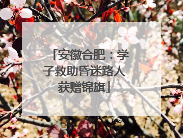 安徽合肥：学子救助昏迷路人获赠锦旗