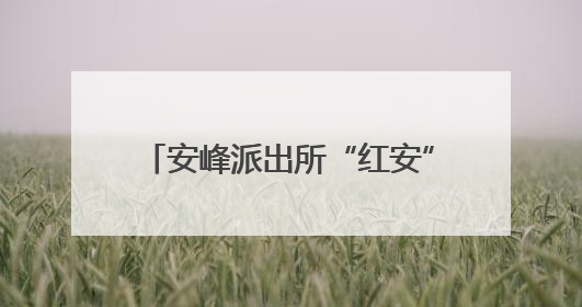 安峰派出所“红安”调解室：小调解撬动大治理的乡村实践