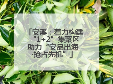 安溪：着力构建“1+2”集聚区 助力“安品出海·抢占先机”