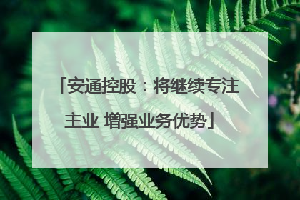 安通控股：将继续专注主业 增强业务优势
