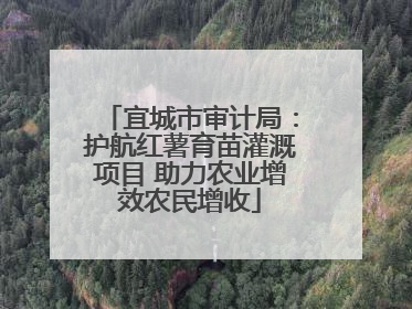 宜城市审计局：护航红薯育苗灌溉项目 助力农业增效农民增收