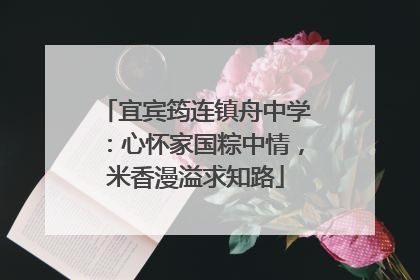 宜宾筠连镇舟中学：心怀家国粽中情，米香漫溢求知路