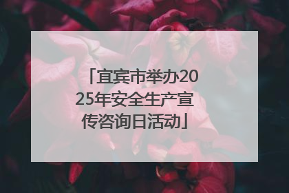 宜宾市举办2025年安全生产宣传咨询日活动