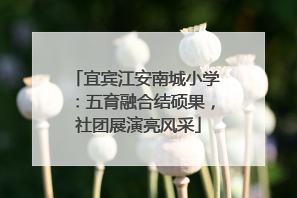 宜宾江安南城小学：五育融合结硕果，社团展演亮风采