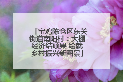 宝鸡陈仓区东关街道南阳村：大棚经济结硕果 绘就乡村振兴新图景