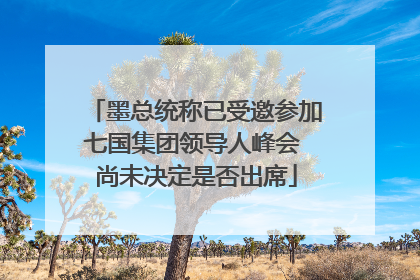 墨总统称已受邀参加七国集团领导人峰会 尚未决定是否出席