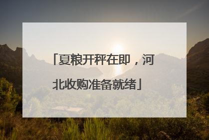 夏粮开秤在即，河北收购准备就绪