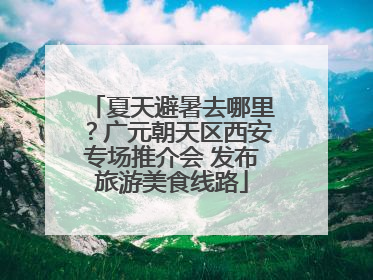 夏天避暑去哪里？广元朝天区西安专场推介会 发布旅游美食线路