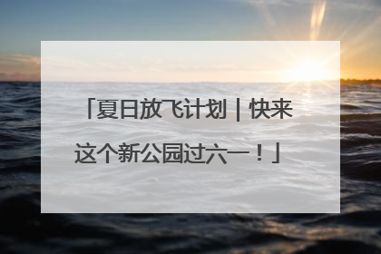 夏日放飞计划｜快来这个新公园过六一！