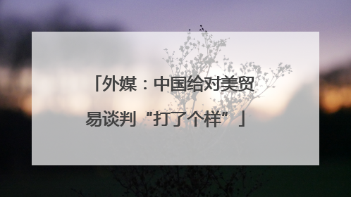 外媒：中国给对美贸易谈判“打了个样”