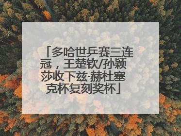 多哈世乒赛三连冠，王楚钦/孙颖莎收下兹·赫杜塞克杯复刻奖杯