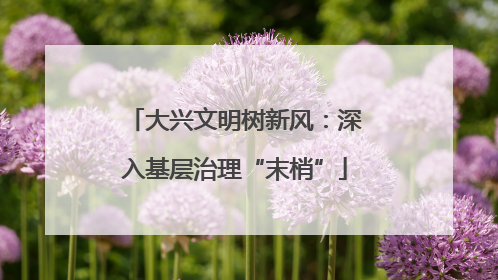 大兴文明树新风：深入基层治理“末梢”