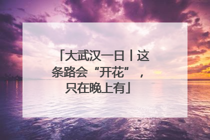 大武汉一日丨这条路会“开花”，只在晚上有